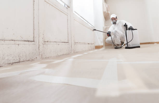 Black mold remediation team in West Milford