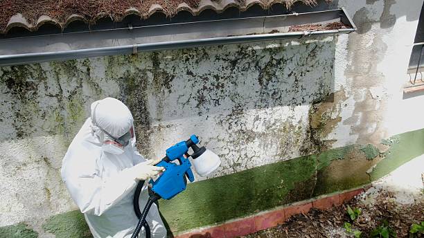 Mold Removal service in West Milford